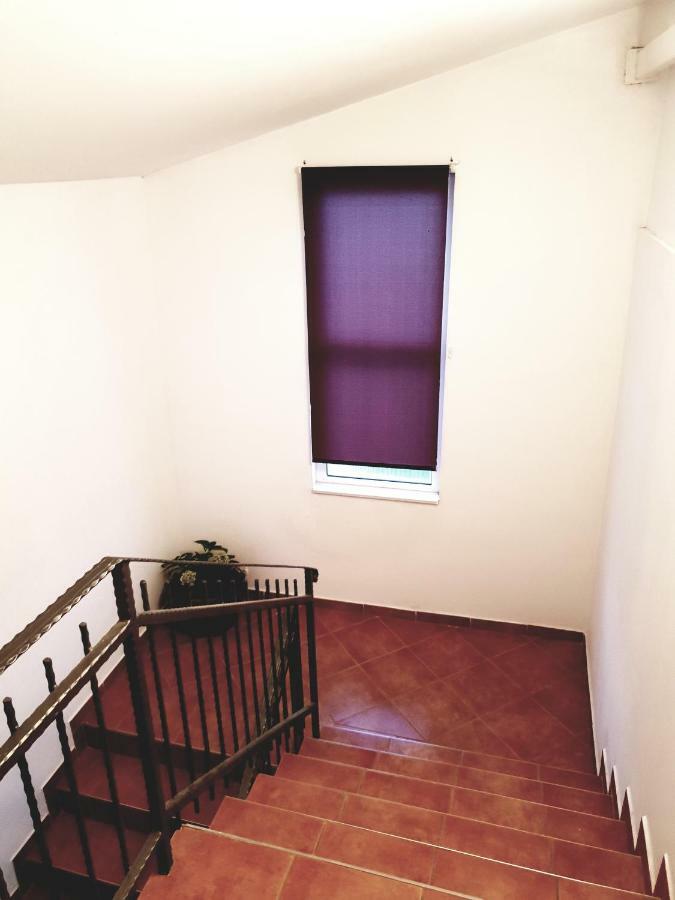 Apartments Petrovic Пировац Екстериор снимка